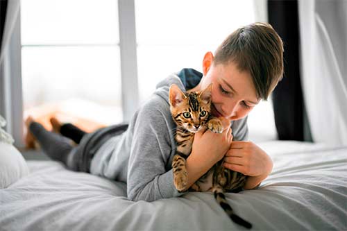 educar-a-los-niños-sobre-cómo-cuidar-a-un-gato